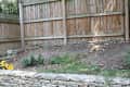 Sloped backyard with wooden fence, stone retaining wall, sparse plants, and a yellow toy truck.