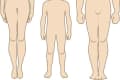 Illustration of a woman, child, and man standing side by side, showing different body types.