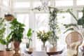 Sunroom with round wooden table, white chairs, wicker chair, hanging plants, and large potted greenery.