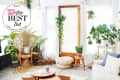 A living room filled with healthy houseplants
