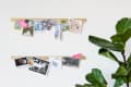 Two wooden photo display bars with postcards and photos, next to a large green plant.