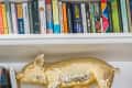 Gold pig sculpture on a white shelf with colorful books above a gray door.