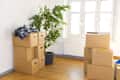 Stacked cardboard boxes and a potted plant in a bright room with wooden floors and large windows.