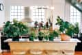 Kitchen with large potted plants on a wooden island, bar stools, and stainless steel range hood under bright windows.