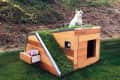 Modern wooden dog house with grass roof, small window, and a drawer containing dog treats, set in a lush garden.