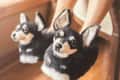 Feet wearing slippers designed to look like black and white dogs with large ears.