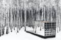 Modern mirrored structure in a snowy birch forest, reflecting trees.