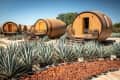 Barrel-shaped cabins with wooden doors surrounded by agave plants under a clear sky.