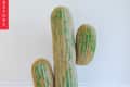 Artificial cactus sculpture with three arms, textured surface, and green accents on a stone base.