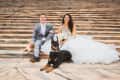 Bride and groom sitting on steps with a bouquet, small dog, and Doberman.
