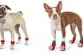 Two dogs wearing festive red and green socks with Santa faces on their paws.
