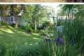 Two garden views with lush greenery, a small shed, and blooming purple irises in the foreground.