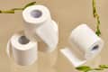 Four rolls of toilet paper on a reflective surface with bamboo stalks.
