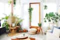 Bright sunroom with wicker chair, patterned rug, and various potted plants, including a large monstera and hanging greenery.