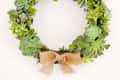 Succulent wreath with various green plants and a burlap bow, hanging on a wall.