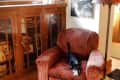 Brown armchair with a small black and white dog, next to a wooden cabinet and framed photos on the wall.