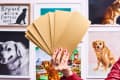 A woman's hand holding sandpaper sheets with framed dog images behind her.