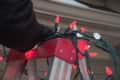 Person on ladder hanging red and white Christmas lights outdoors.