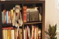 Bookshelf with a knitted monkey toy, framed art, globe lamp, and various books, including a plant with string lights nearby.