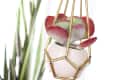 Hanging succulent in a geometric brass planter with a tall plant in a turquoise pot in the background.