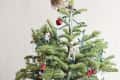 Christmas tree with owl topper, red apple ornament, and various festive decorations.