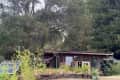 Eco-friendly cabin with solar panels, surrounded by trees and plants.