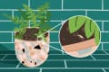 Potted plant with green leaves in a terrazzo pot, close-up of a small insect on the soil, against a teal brick wall.