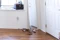Empty room with wooden floor, white walls, a window, a door, a mirror, and a black storage box on the windowsill.