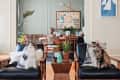 Two cats on black chairs in a living room with plants, a dining table, and framed art on the wall.