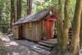 Rustic wooden cabin with a red door, surrounded by tall trees and a stone path.