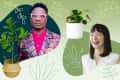 Man in colorful suit and woman smiling, surrounded by potted plants on a green background with leaf patterns.