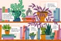 Bookshelves with colorful books, various potted plants, and tips for arranging plants and books creatively.
