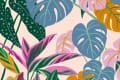 Colorful tropical leaves illustration with pink, blue, green, and orange hues overlapping.