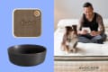 Marshall speaker, black bowl, and a man with a dog on an Avocado mattress, using a tablet.