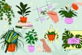 collage of various zodiac houseplant personality illustrations on a graphic background
