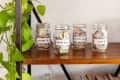 Four labeled jars filled with cash for concert, house, travel, and class funds on a wooden shelf with green plant.