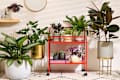 A variety of houseplants on and surrounding a red plant cart: painted leaf begonia, Chinese evergreen plant, Philodendren plant, zz plant, succulents, Tradescantia Zebrina, bird's nest fern, spider plant, and rubber tree plant
