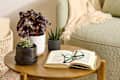 An open book with reading glasses on a coffee table next to a group of plants: 2 succulents and a painted leaf begonia
