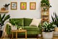 A low-lit living room scene with plants that can thrive in low light: zz plant, cast iron plant, bird's nest fern, Chinese evergreen plant, snake plant, bamboo plant, and pothos
