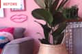 Gray sofa with colorful pillows, pink wall, neon lips sign, and a large plant in a woven basket on a stool.