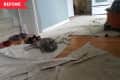 Before: Drop cloth on oak floors