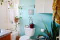Bathroom with turquoise walls, white tiles, hanging plants, and a potted plant on the toilet tank.