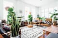 Bright living room with large plants, patterned rug, wooden furniture, and woven decor accents.