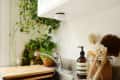 Kitchen sink with wooden cutting boards, glass jar of brushes, soap dispenser, and lush green plants.
