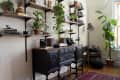 Vintage black sideboard with plants, books, and cameras on wall shelves, next to a tall lamp and a potted tree.