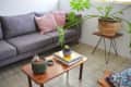 Gray sofa with pink pillows, wooden coffee table with plants and books, large potted plant on side table in a cozy room.