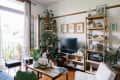 Living room with wooden shelves, potted plants, a TV, and framed botanical prints on the wall.