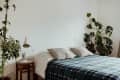 Bedroom with a bed covered in a blue checkered blanket, two pillows, a vintage lamp, and large potted plants.