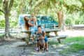 Two people with dogs at a picnic table in a park, blue van in background.