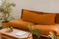 Orange velvet sofa with large cushions, wooden coffee table, potted plant, and a floor lamp in a cozy living room.